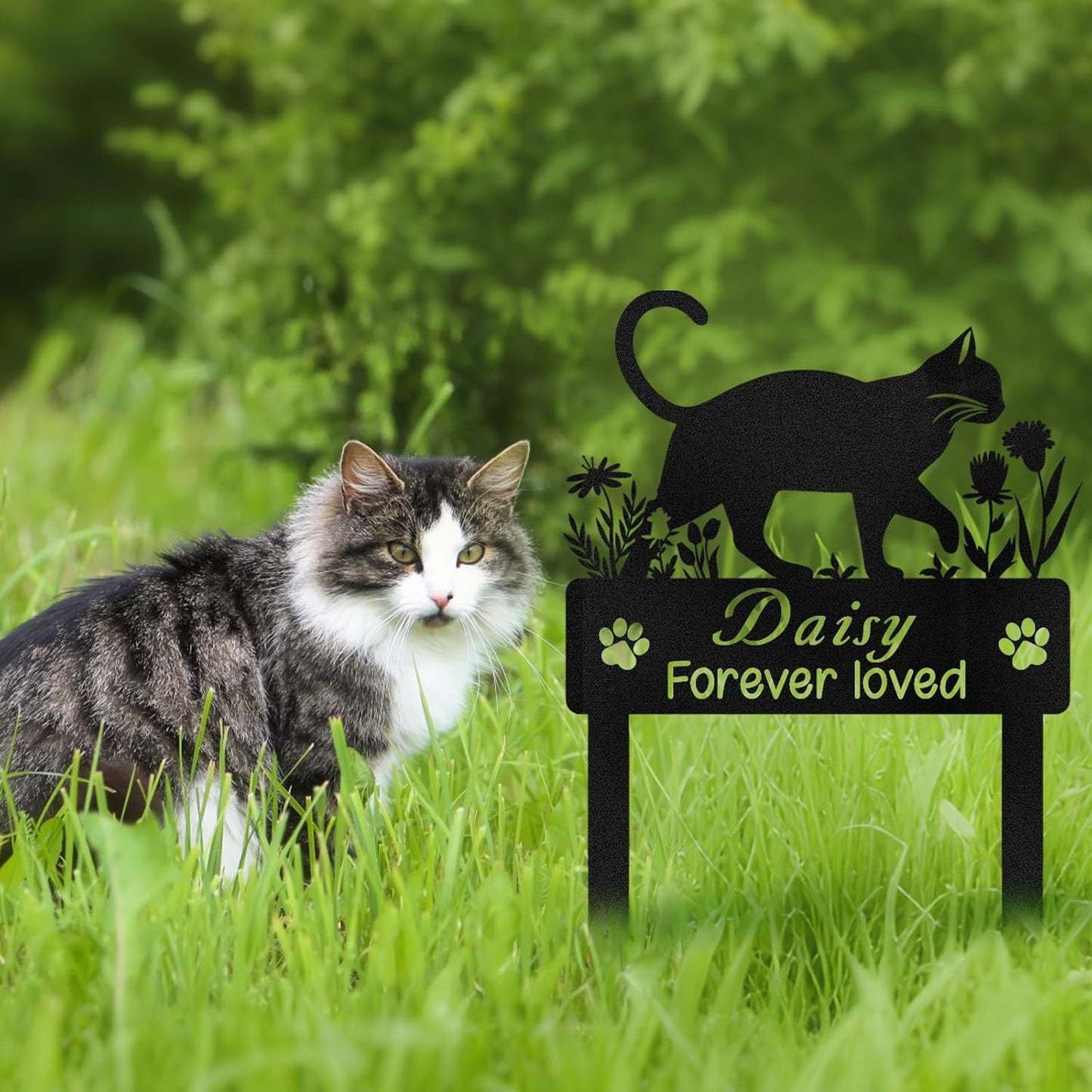 Personalized Iron Cat Memorial - Custom Pet Plaque for Cherished Memories