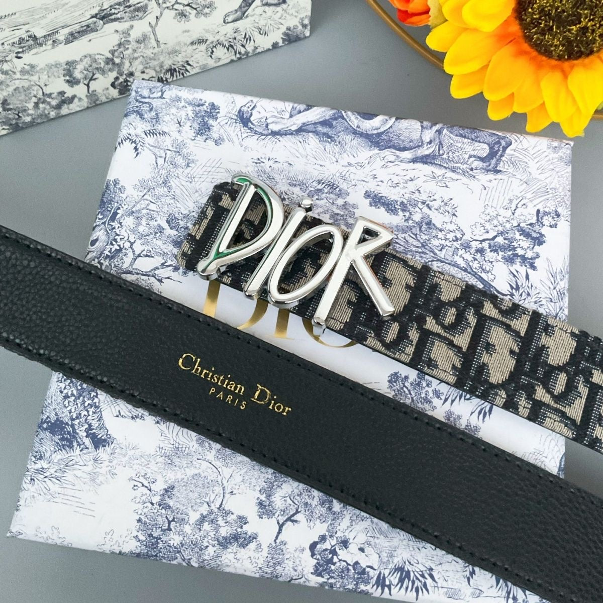 CD unisex Belt 1825021311